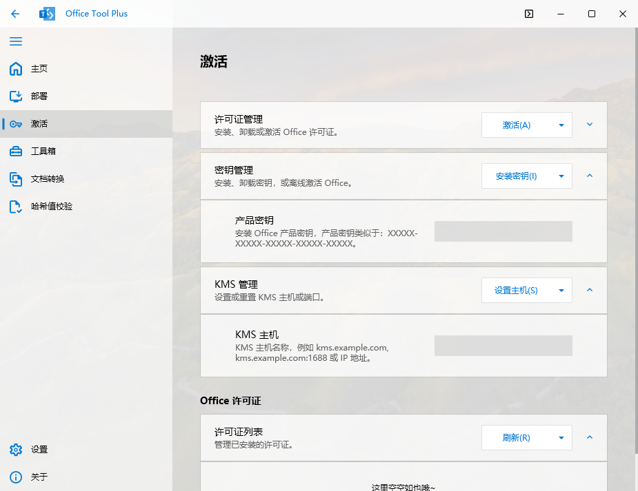 Office Tool Plus